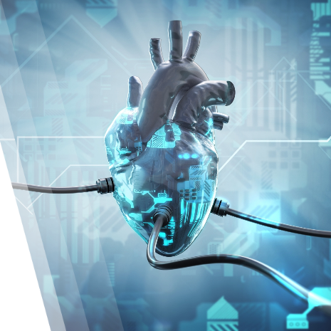 Gli EDIH forniscono una varietà di servizi